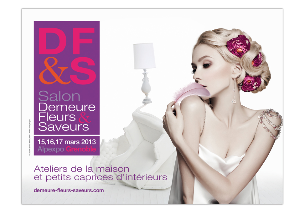 SALON DF&S - Publicité 2013 - affiche